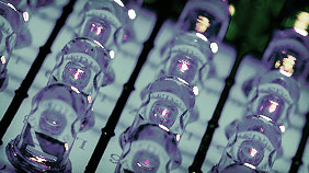 短信轰在线轰炸免费网站