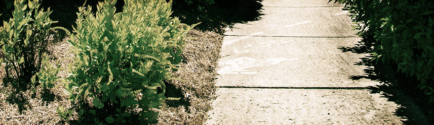 求一个靠谱的短信验证码轰炸平台